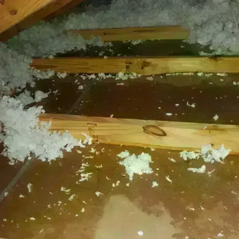 Attic Water Damage in Mountain Village, CO