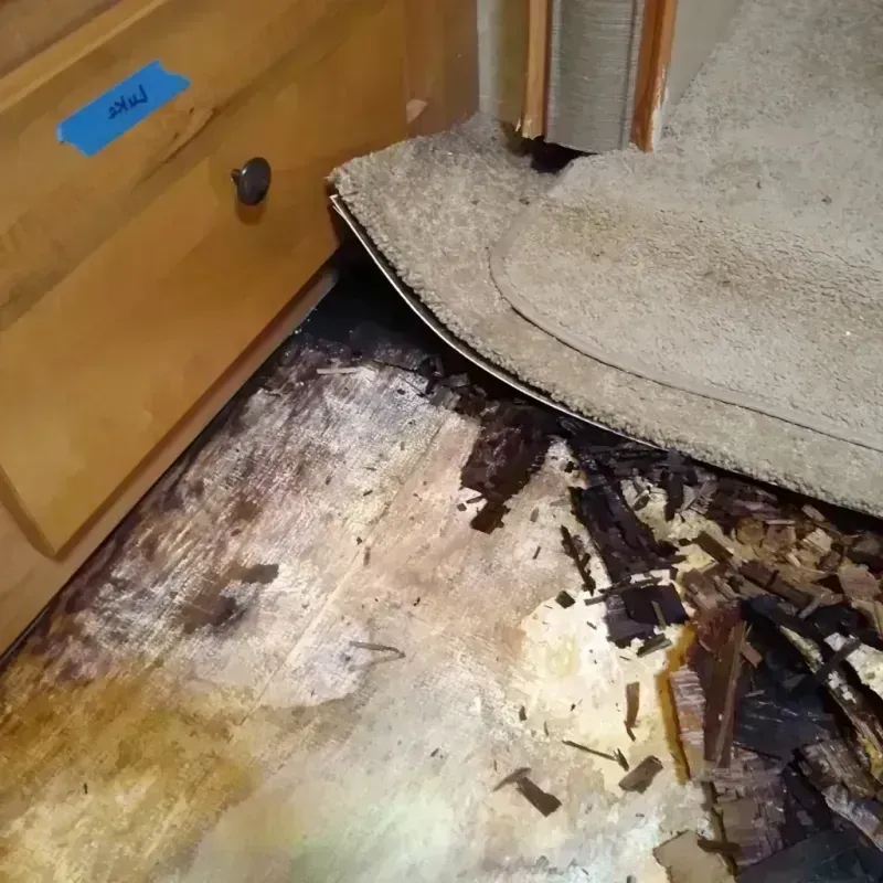 Wood Floor Water Damage in Mountain Village, CO